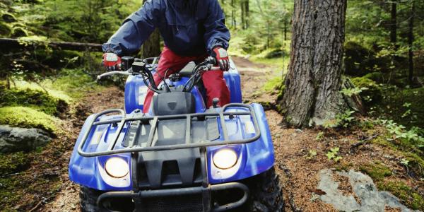 Person driving ATV through forest.